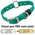 TEAL BIG DAWG 1 in. Biothane O-Ring Collar