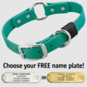 TEAL BIG DAWG 1 in. Biothane O-Ring Collar