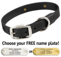 BLACK BIG DAWG 1 in. Biothane Standard Collar