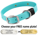 SKY BLUE BIG DAWG 1 in. Biothane Standard Collar