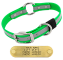 BIG DAWG Visibility -- KELLY GREEN 1 in. Reflective Biothane O-Ring Collar