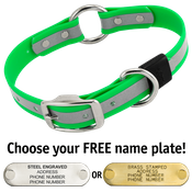  shop BIG DAWG Visibility -- KELLY GREEN 1 in. Reflective Biothane O-Ring Collar