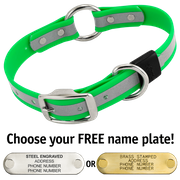  shop BIG DAWG Visibility -- KELLY GREEN 1 in. Reflective Biothane O-Ring Collar