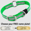 BIG DAWG Visibility -- KELLY GREEN 1 in. Reflective Biothane O-Ring Collar