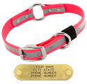 BIG DAWG Visibility -- HOT PINK 1 in. Reflective Biothane O-Ring Collar