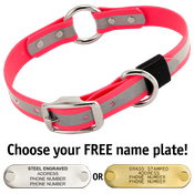  shop BIG DAWG Visibility -- HOT PINK 1 in. Reflective Biothane O-Ring Collar