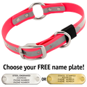BIG DAWG Visibility -- HOT PINK 1 in. Reflective Biothane O-Ring Collar
