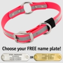 BIG DAWG Visibility -- HOT PINK 1 in. Reflective Biothane O-Ring Collar