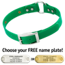 GREEN 1 in. SunGlo O-Ring Collar