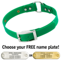 GREEN 1 in. SunGlo O-Ring Collar