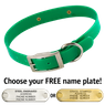GREEN 1 in. SunGlo Standard Collar