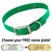  shop GREEN 1 in. SunGlo Standard Collar