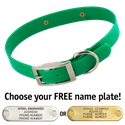GREEN 1 in. SunGlo Standard Collar