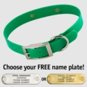 GREEN 1 in. SunGlo Standard Collar