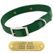 GREEN 1 in. Double-Ply Standard Nylon Dog Collar