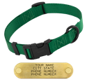 GREEN LONG 1 in. QUICK DAWG Nylon Quick Release Collar