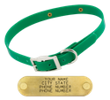 GREEN 3/4 in. SunGlo Standard Collar