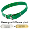 GREEN 1 in. SunGlo D-End Collar