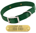 GREEN 1 in. Double-Ply Standard Nylon Dog Collar