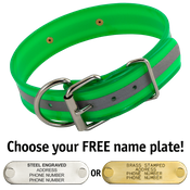  shop GREEN 1-1/2 in. Beaded Reflective D-End Dog Collar