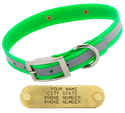 GREEN 1 in. SunGlo Reflective Standard Collar