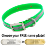 GREEN 1 in. SunGlo Reflective Standard Collar