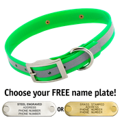  shop GREEN 1 in. SunGlo Reflective Standard Collar