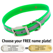  shop GREEN 1 in. SunGlo Reflective Standard Collar