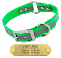 GREEN 1 in. SunGlo Reflective O-Ring Collar