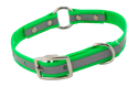 KELLY GREEN little dawg VISIBILITY 3/4 in. Biothane Puppy & Small Dog O-Ring Collar -- 13 in. Neck