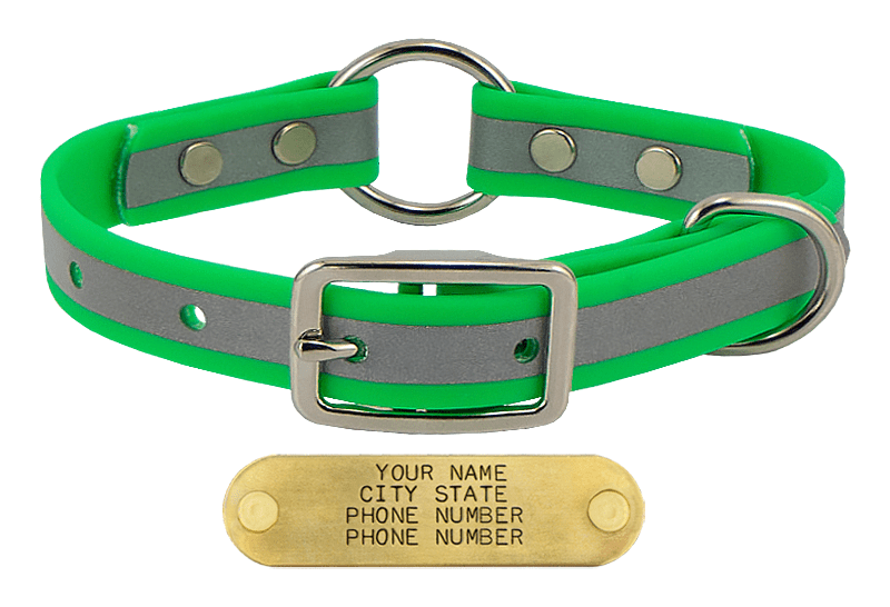 KELLY GREEN little dawg VISIBILITY 3/4 in. Biothane Puppy & Small Dog O