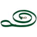 GREEN Omnipet Bravo 1 in. x 6 ft. 2-Ply Stitched Nylon Leash