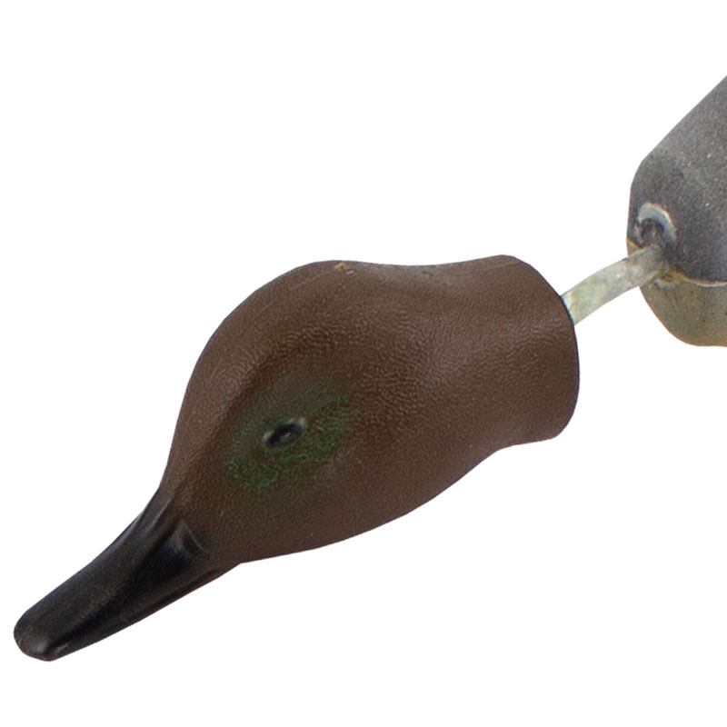 Greenwing Teal Dummy Head Detail