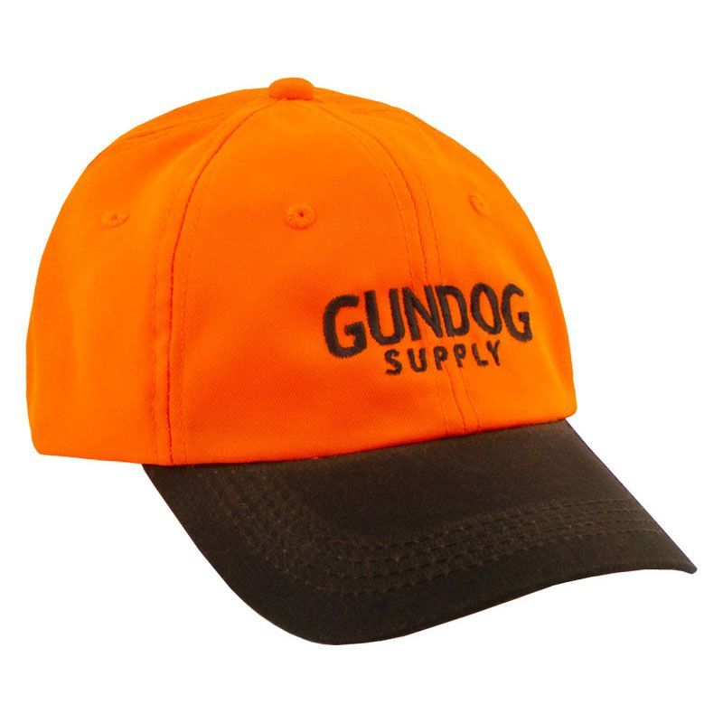 Perfection Kennels Pointing Dog Training Bundle. 618.23. FREE Shipping