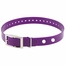 Hi-Flex 1" 2-Hole Violet Replacement Collar Strap
