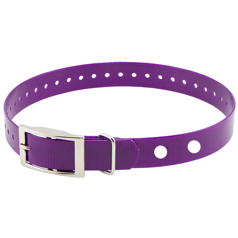 Hi-Flex 1" 2-Hole Violet Replacement Collar Strap