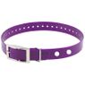 Hi-Flex 1" 2-Hole Violet Replacement Collar Strap