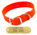 HUNTER ORANGE BIGGER DAWG 1 1/2 in. Biothane Standard Collar
