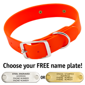  shop HUNTER ORANGE BIGGER DAWG 1 1/2 in. Biothane Standard Collar