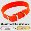 HUNTER ORANGE BIGGER DAWG 1 1/2 in. Biothane Standard Collar