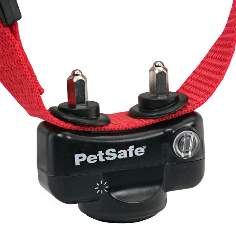In-Ground Fence Probes Detail