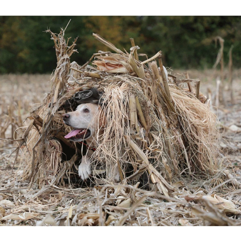 InvisiGrass in the Field