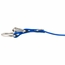 1 1/2 in. Beaded Reflective Dee-End Dog Collar Buckle Edge Detail