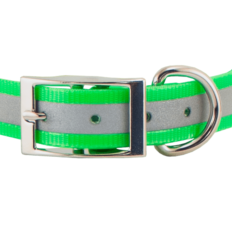 SunGlo Reflective Collar Front of Buckle Detail