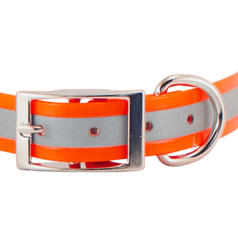SunGlo Reflective Collar Front of Buckle Detail