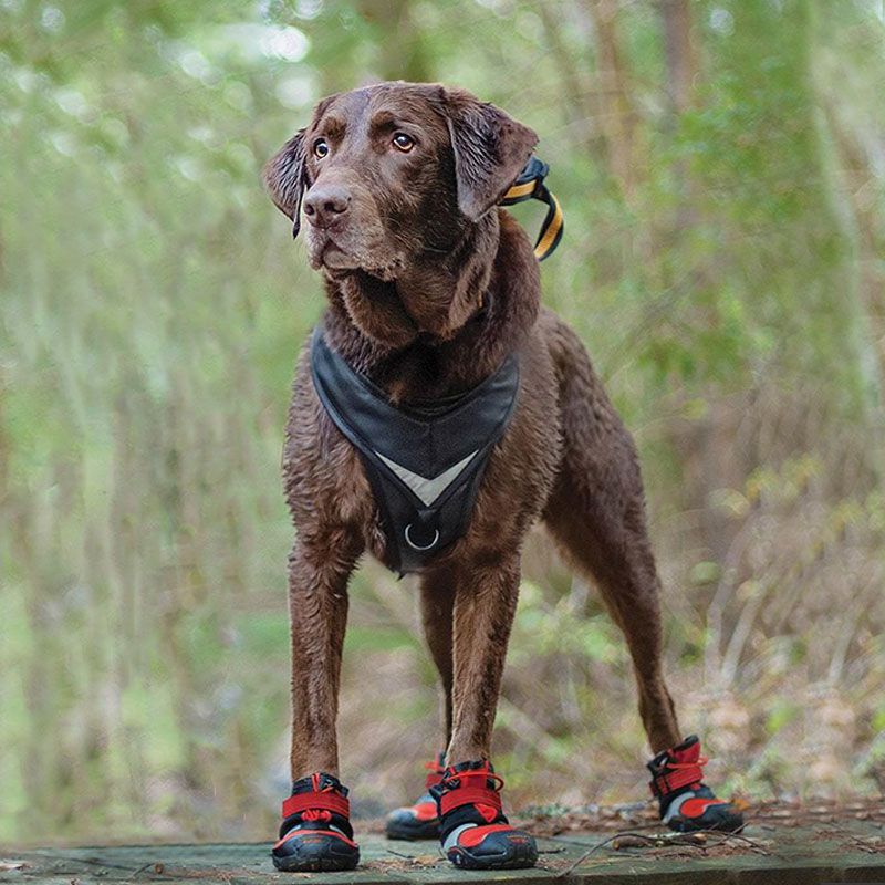 Blaze cross dog boots by kurgo set of 4 69 95 