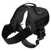 Kurgo RSG Townie Harness