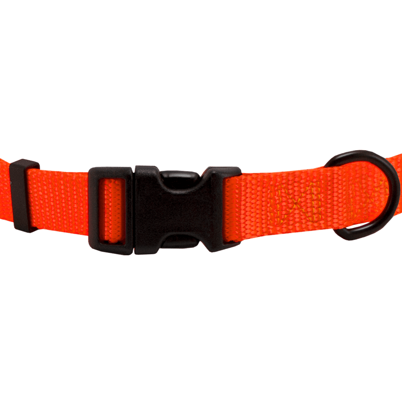 Lime Quick Release Collar main image 1