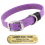 LASER BIG DAWG -- AMETHYST PURPLE 1 in. Biothane Standard Collar