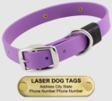 LASER BIG DAWG -- AMETHYST PURPLE 1 in. Biothane Standard Collar